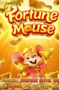 Fortune Mousse en 9rso